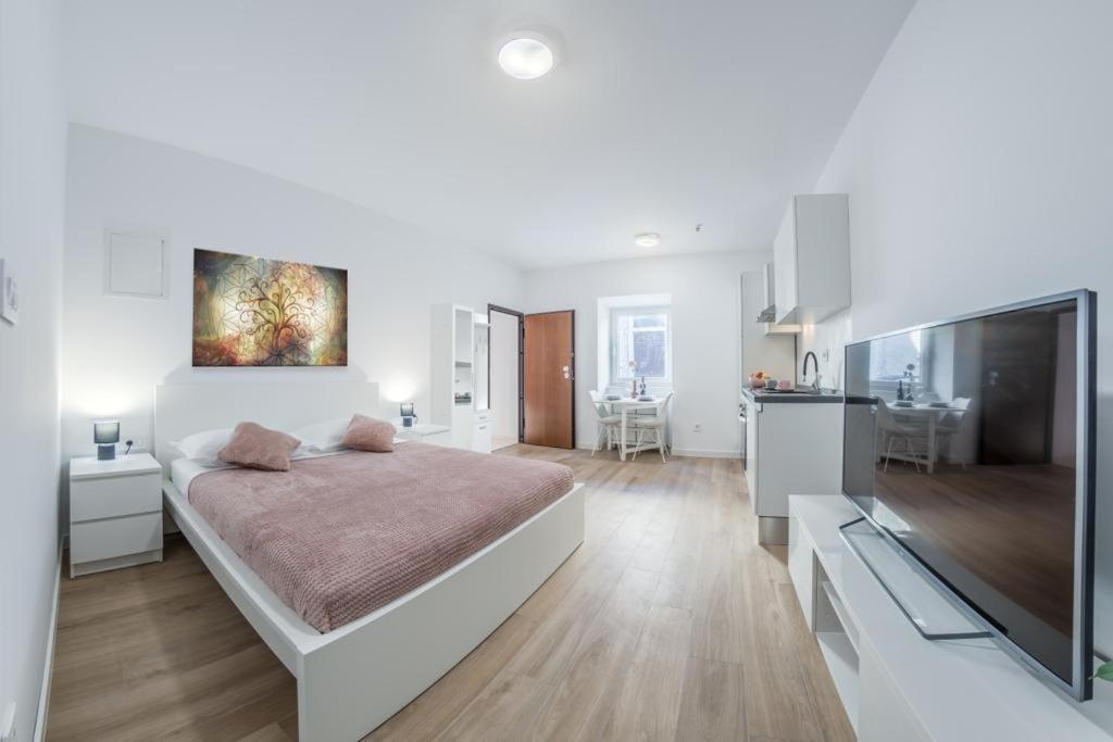 Apartment Klara Free Parking, Center Pula Exterior foto